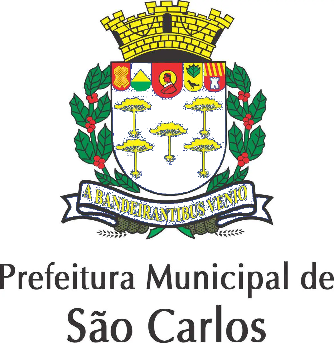 Prefeitura de São Carlos